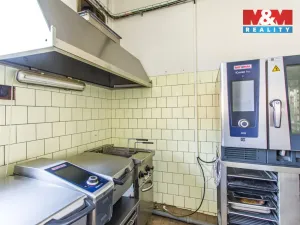 Prodej restaurace, Slezské Rudoltice, 360 m2