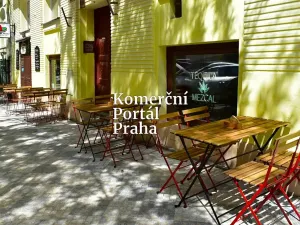 Pronájem restaurace, Praha - Vinohrady, Moravská, 100 m2