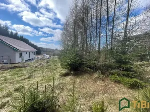 Prodej pozemku pro bydlení, Gruna, 1753 m2