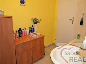 Pronájem bytu 1+kk, Prostějov, Marie Pujmanové, 33 m2