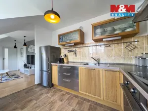 Pronájem bytu 4+1, Praha - Nusle, U družstva Repo, 93 m2