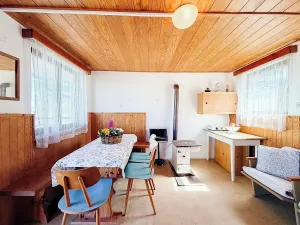 Prodej chaty, Vysoké Mýto, Vinice, 17 m2