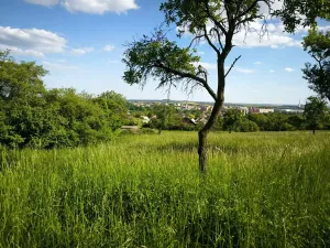 Prodej pozemku pro bydlení, Lovosice, Lhotecká, 9072 m2