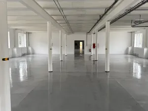 Pronájem skladu, Ostrov, 800 m2
