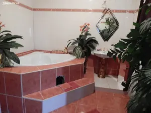 Prodej vícegeneračního domu, Kraslice, 400 m2