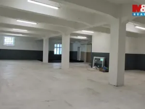 Pronájem výrobních prostor, Orlová - Poruba, Nádražní, 350 m2