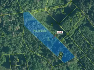 Dražba lesa, Zavlekov, 2895 m2