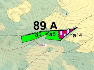 Dražba lesa, Mikulášovice, 3638 m2