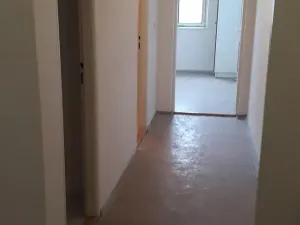 Dražba bytu 3+1, Milovice, Lesní, 113 m2