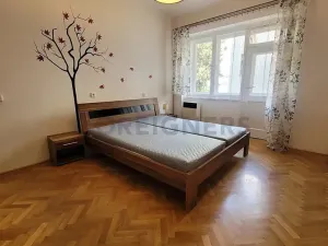 Pronájem bytu 2+kk, Brno, Botanická, 56 m2