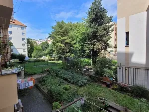 Pronájem bytu 2+kk, Brno, Botanická, 56 m2