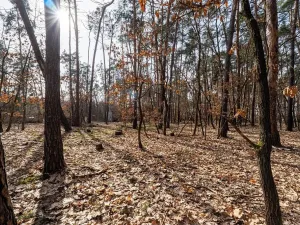 Prodej pozemku pro bydlení, Hradištko, Kersko, 4428 m2