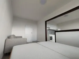 Pronájem bytu 1+1, Most, Růžová, 40 m2