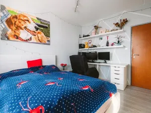 Prodej bytu 3+1, Jihlava, Královský vršek, 73 m2