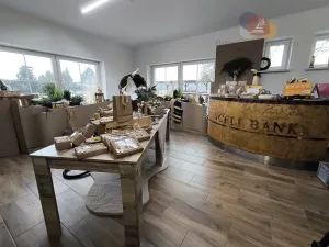 Prodej rodinného domu, Petrovice u Karviné, 993 m2