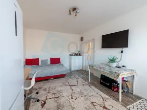 Prodej bytu 1+1, Praha - Troja, Krynická, 29 m2