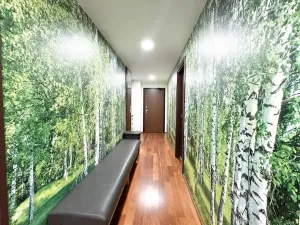 Pronájem bytu 2+kk, Praha, 75 m2