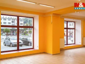 Pronájem obchodního prostoru, Jeseník, Masarykovo nám., 335 m2