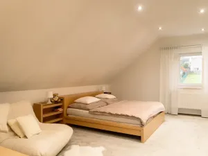 Prodej rodinného domu, Domašov u Šternberka, 400 m2