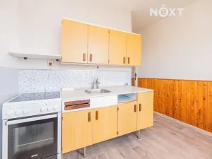 Pronájem bytu 1+1, Postřelmov, Nová, 32 m2