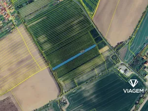 Prodej podílu pole, Moravany, 890 m2