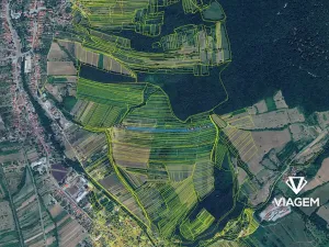 Prodej podílu pole, Velká nad Veličkou, 5107 m2