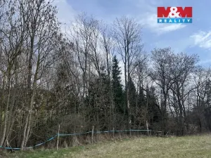 Prodej lesa, Košťálov - Kundratice, 11072 m2