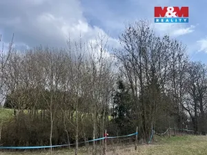 Prodej lesa, Košťálov - Kundratice, 11072 m2