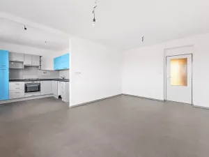 Prodej bytu 3+kk, Skuteč, Družstevní, 66 m2