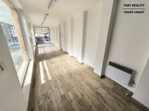 Pronájem obchodního prostoru, Ústí nad Labem, Masarykova, 69 m2