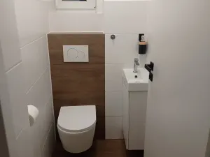 Pronájem bytu 1+1, Šestajovice, 55 m2