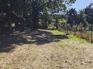 Prodej pozemku pro bydlení, Odry, 1122 m2