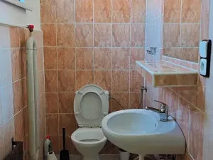 Prodej ubytování, Ostrava, Šamanova, 173 m2