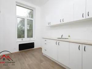 Pronájem bytu 1+1, Ostrava, Křišťanova, 44 m2