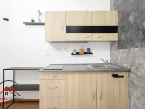 Pronájem bytu 1+1, Ostrava, Mariánskohorská, 41 m2