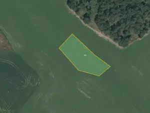 Prodej louky, Horažďovice, 7418 m2