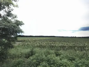 Prodej pole, Vranovice, 8591 m2