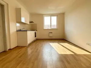 Prodej bytu 1+kk, Mšené-lázně, Mládežnická, 34 m2
