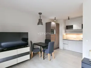 Pronájem bytu 1+1, Praha - Bubeneč, Mlýnská, 36 m2