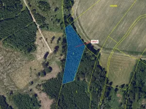 Dražba lesa, Krásné, 6169 m2