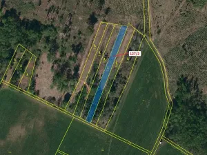 Dražba lesa, Cidlina, 1615 m2