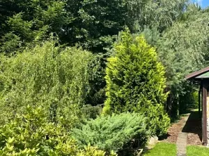 Prodej chalupy, Dlouhý Most, 60 m2