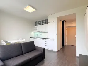 Pronájem bytu 2+kk, Brno, Vinařská, 55 m2