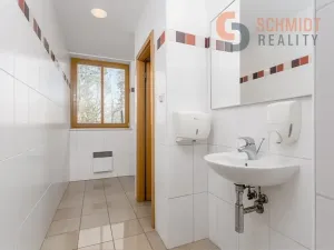 Prodej vícegeneračního domu, Brno, 576 m2