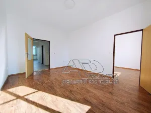 Pronájem bytu 2+1, České Budějovice, 54 m2