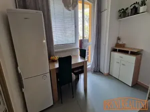 Prodej bytu 1+1, Uherský Brod, Partyzánů, 43 m2