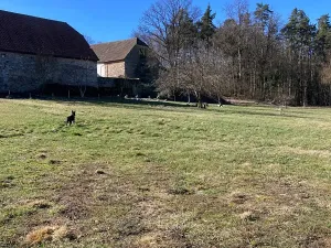 Prodej pozemku pro bydlení, Blatná, 3772 m2