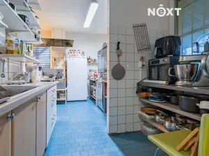 Prodej restaurace, Sezimovo Ústí, Soukeník, 220 m2