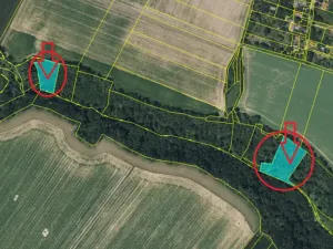 Prodej lesa, Velké Všelisy, 8197 m2