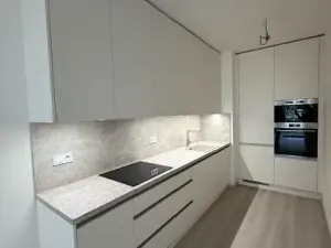 Pronájem bytu 2+kk, Praha - Vysočany, Gerstelova, 53 m2